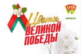 Минский областной комитет присоединился к акции «Цветы Великой Победы»